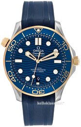 Omega Seamaster Diver 300M 210.22.42.20.03.001