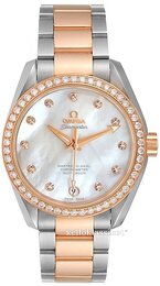 Omega Seamaster Aqua Terra 150m Master Co-Axial Ladies 38.5mm 231.25.39.21.55.001