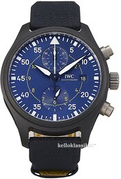 IWC Pilots IW389008