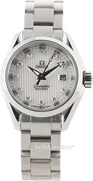 Omega Seamaster Aqua Terra Jewellery 231.10.30.61.55.001
